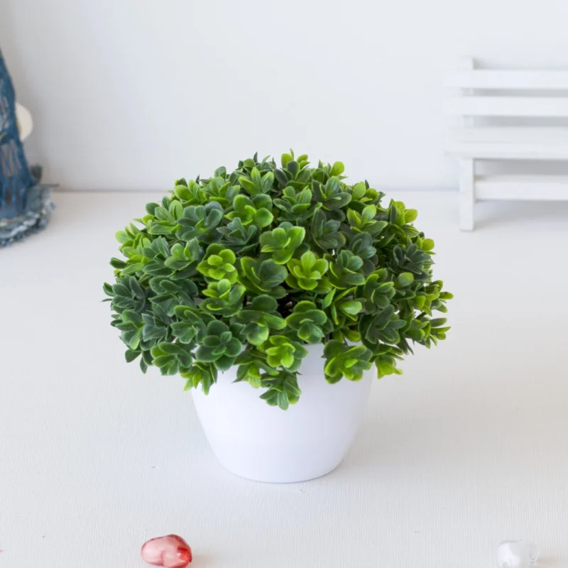 1pcs Green Plant Potted Plant  - Interior Design Office 리뷰 및 가격