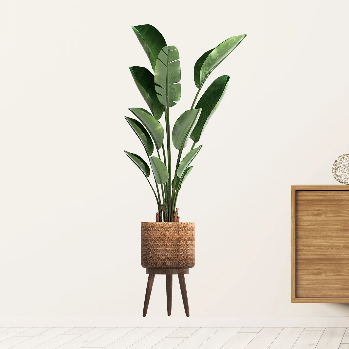 Simulation Green Plant Ornamen - Interior Design Office 리뷰 및 가격