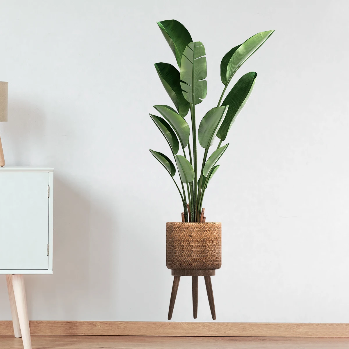Simulation Green Plant Ornamen - Interior Design Office 리뷰 및 가격
