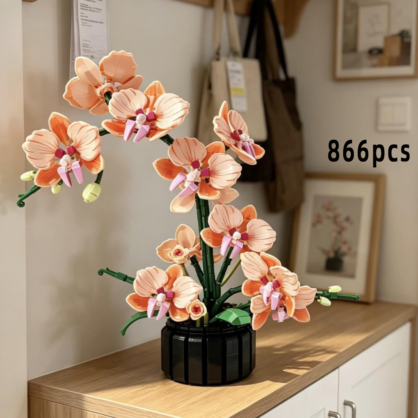 Orange Phalaenopsis Orchid Bui - Interior Design Office 리뷰 및 가격