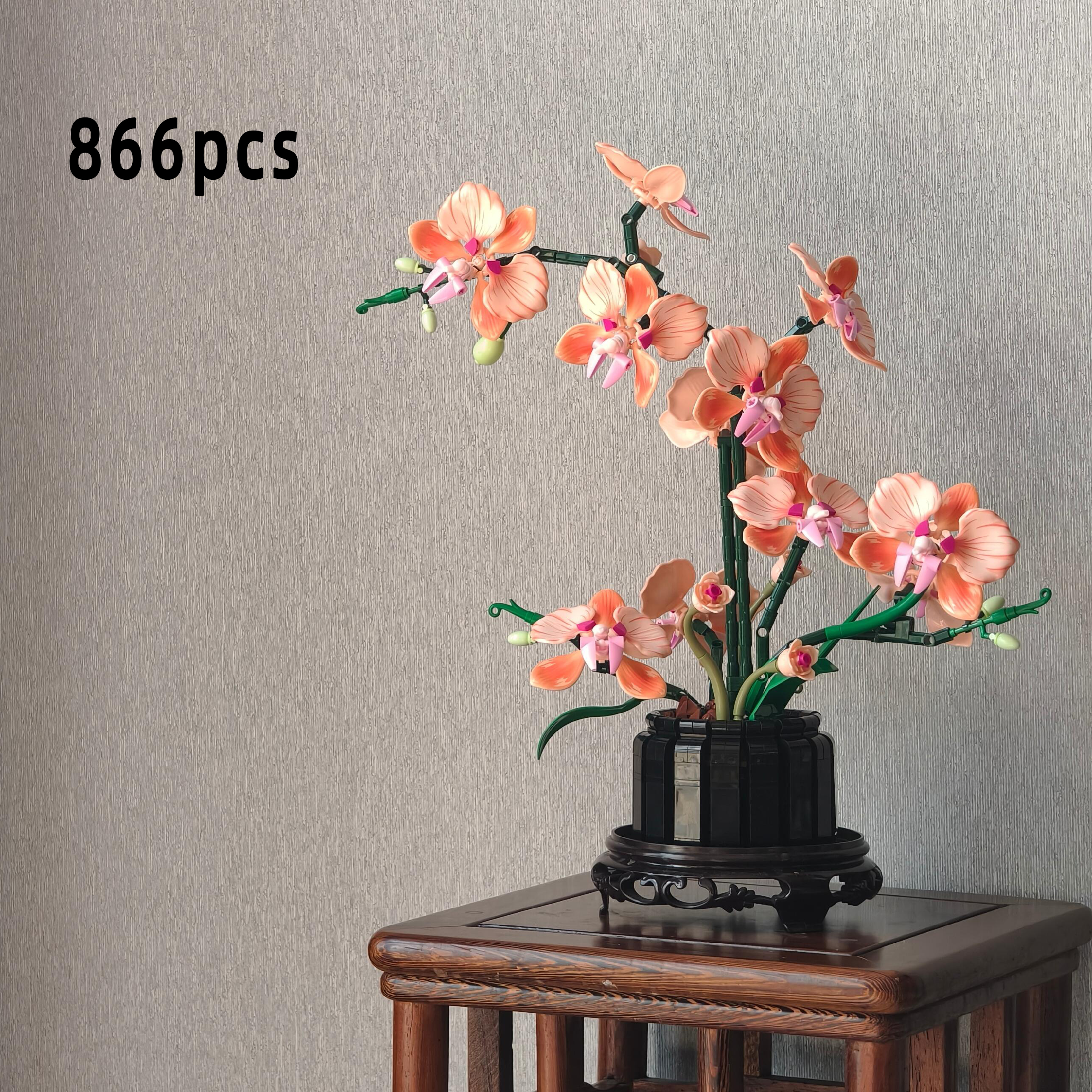 Orange Phalaenopsis Orchid Bui - Interior Design Office 리뷰 및 가격