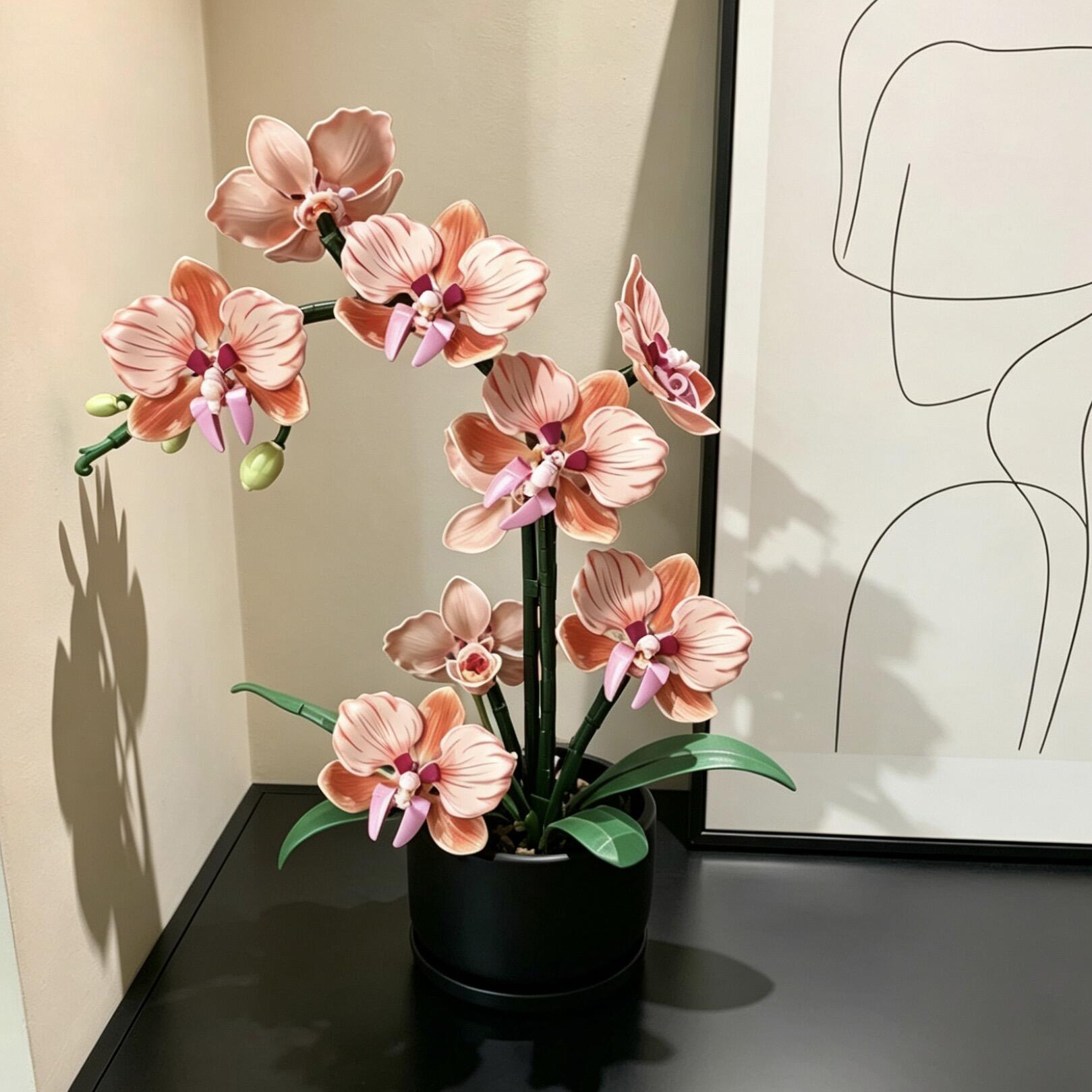 Orange Phalaenopsis Orchid Bui - Interior Design Office 리뷰 및 가격