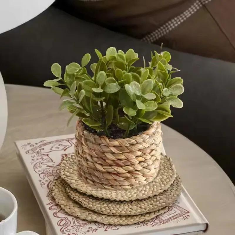 1Pc Potted Plant Small Fake Pl - Interior Design Office 리뷰 및 가격