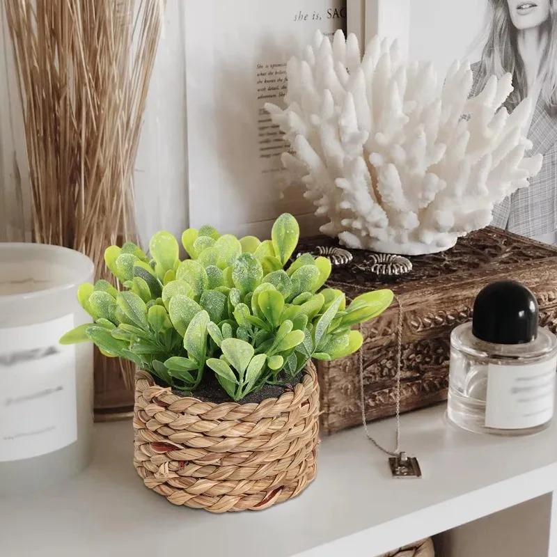 1Pc Potted Plant Small Fake Pl - Interior Design Office 리뷰 및 가격