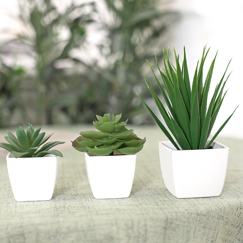 3PCS Artificial Evergreen Plan - Interior Design Office 리뷰 및 가격