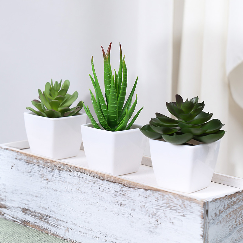 3PCS Artificial Evergreen Plan - Interior Design Office 리뷰 및 가격