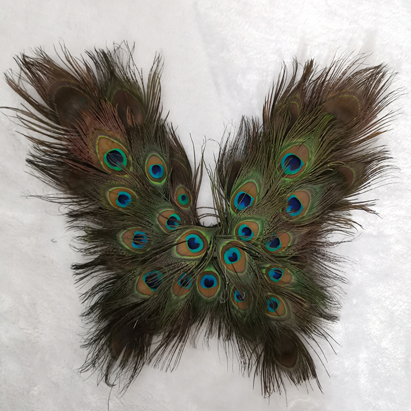adult creative cosplay wing Pe - Interior Design Book 리뷰 및 가격
