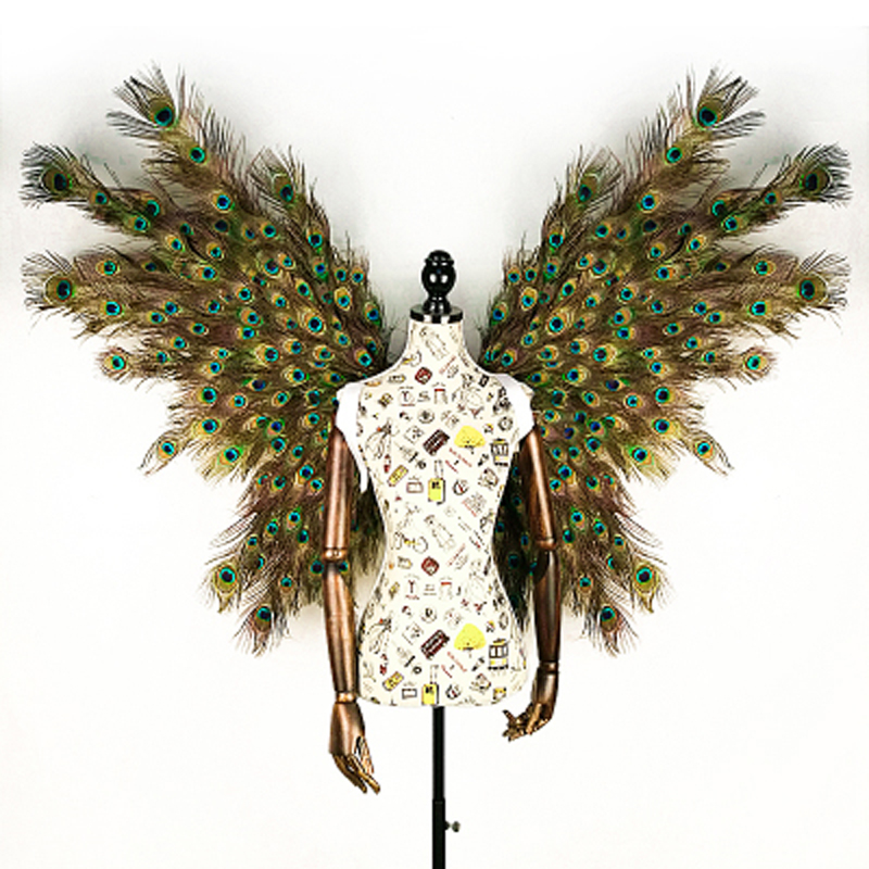 adult creative cosplay wing Pe - Interior Design Book 리뷰 및 가격