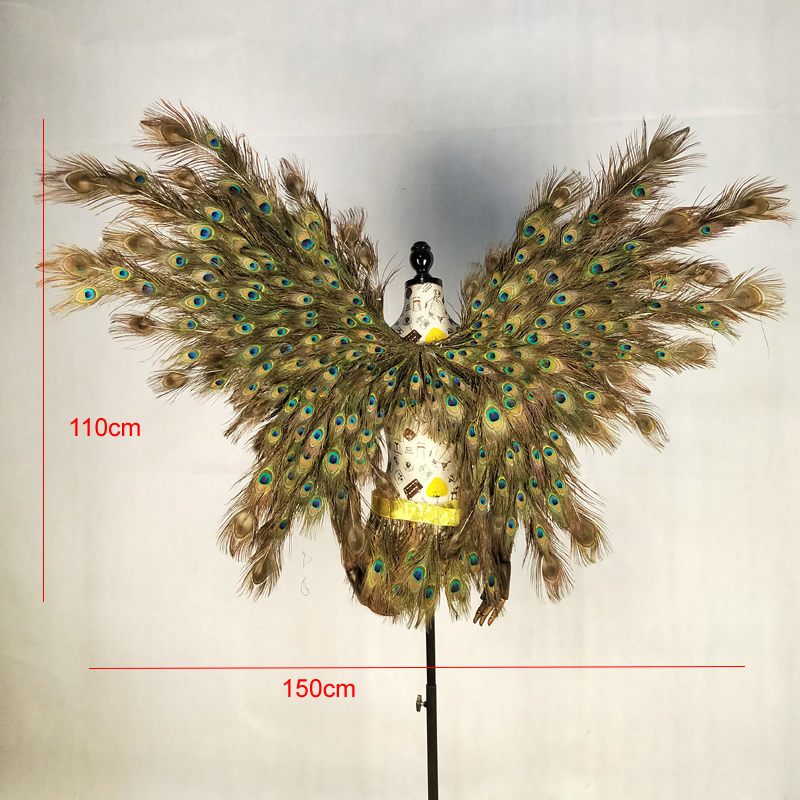 adult creative cosplay wing Pe - Interior Design Book 리뷰 및 가격